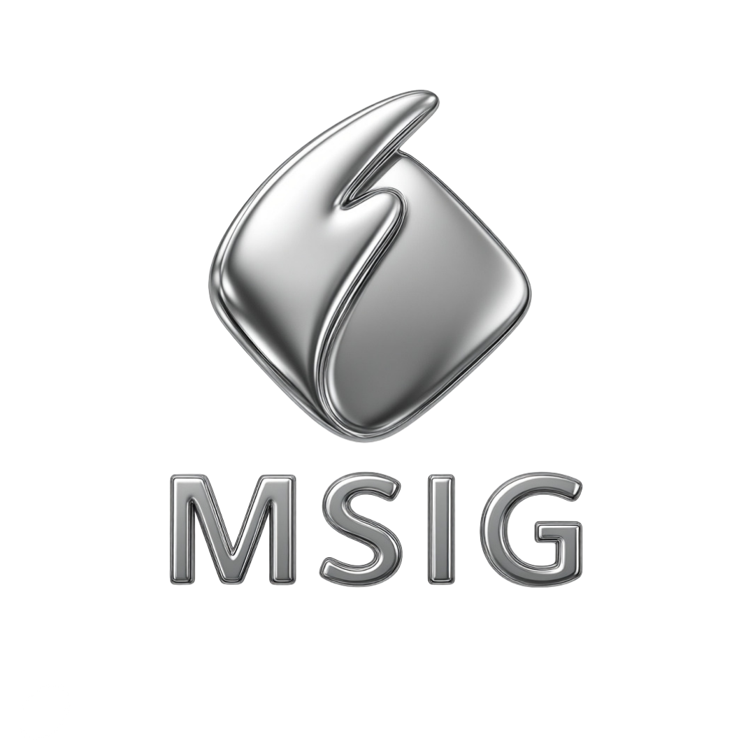 MSIG Seguradora